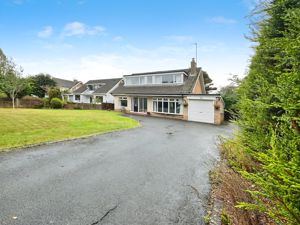 Photo 15- click for photo gallery